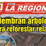 Diario la región
