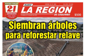 Diario la región
